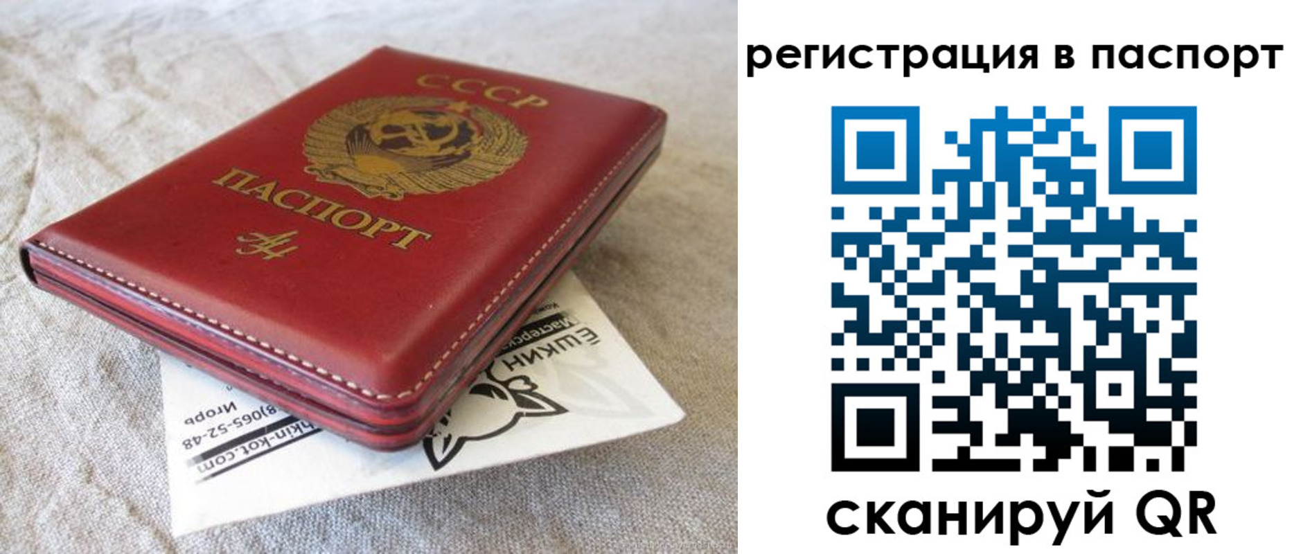 где прописаться в Богородске